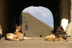 Buchlov - II. subregionál - květen 2005