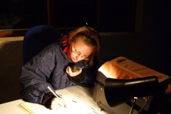 Pálení čarodejnic 2008